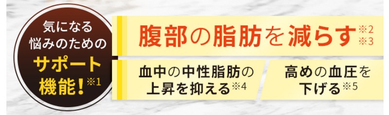 ����1�Œ������b�E�������b�E�������T�|�[�g�I�u�����K���T�|�[�gEX�v�������Ă݂����T�C�g